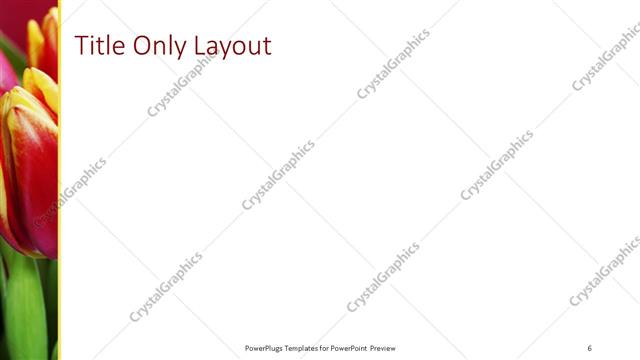 Title Only presentation slide layout