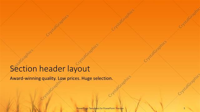 Section Header presentation slide layout