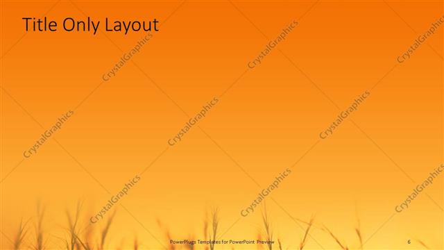 Title Only presentation slide layout