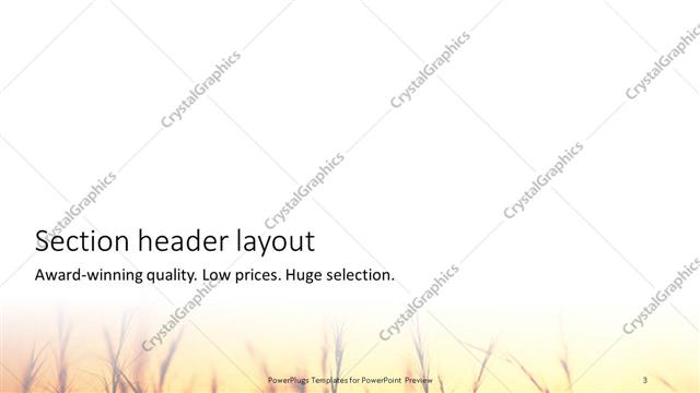 Section Header presentation slide layout