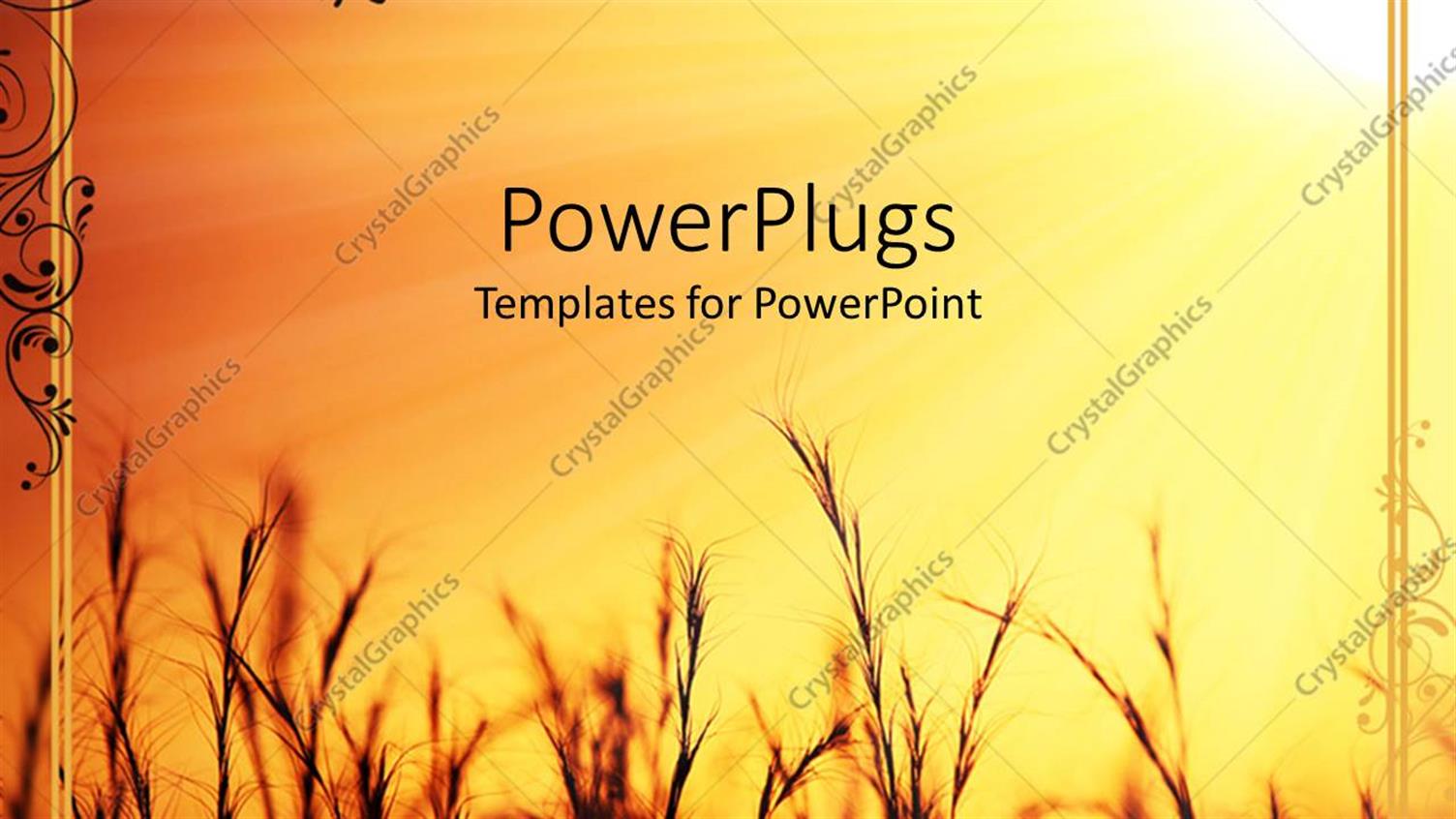 Premium Template for PowerPoint & Google Slides 