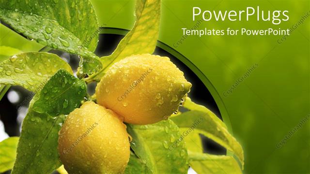  Presentation with lemon - A beautiful representation of lemon ad leaves with greenish background