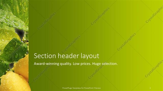 Section Header presentation slide layout