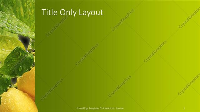 Title Only presentation slide layout
