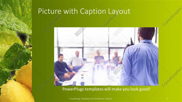 Picture with Caption presentation slide layout
