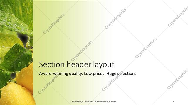 Section Header presentation slide layout