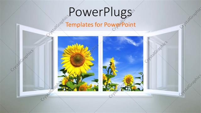  Presentation with sunflower - Beautiful room with open window leading to sunflower field and cloudy?sky?