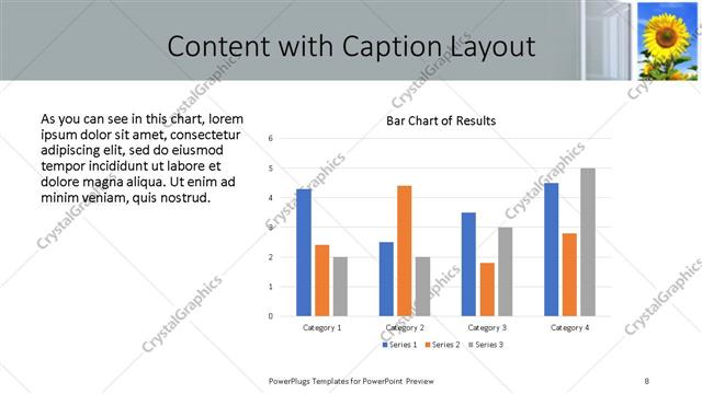 Content with Caption presentation slide layout