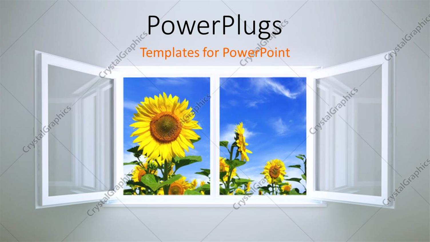Premium Template for PowerPoint & Google Slides 