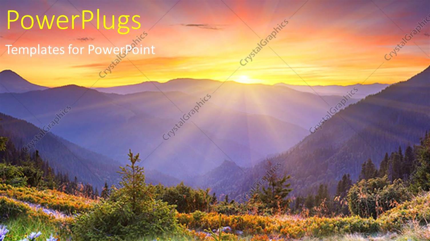 Premium Template for PowerPoint & Google Slides 