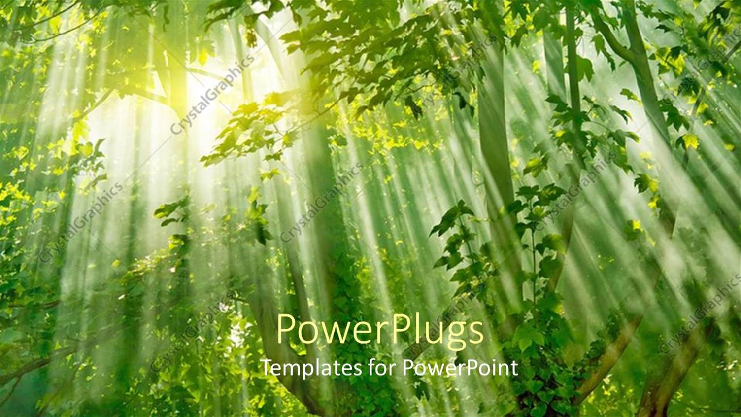 Premium Template for PowerPoint & Google Slides 