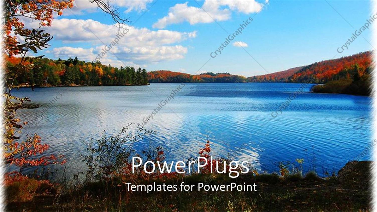 Premium Template for PowerPoint & Google Slides 