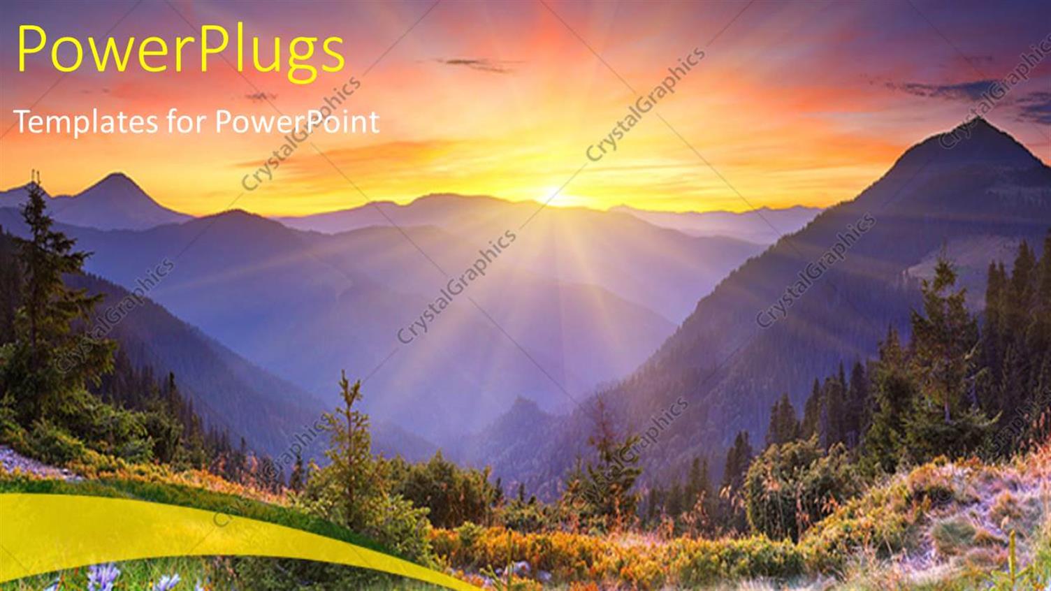 Premium Template for PowerPoint & Google Slides 