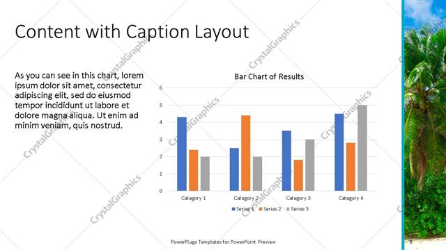 Content with Caption presentation slide layout