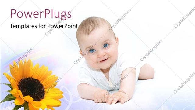  Presentation with sunflower - Beautiful smiling baby crawling with sunflower on white background