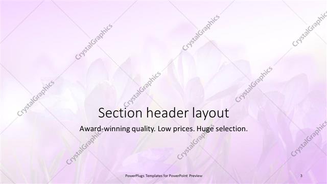 Section Header presentation slide layout