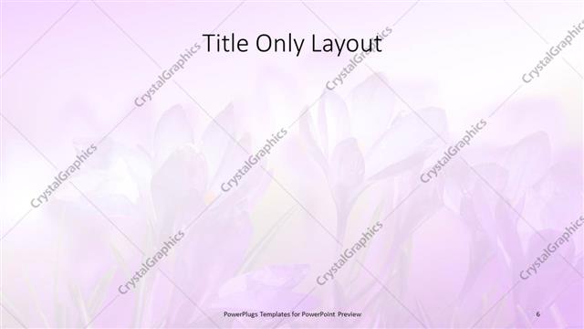 Title Only presentation slide layout