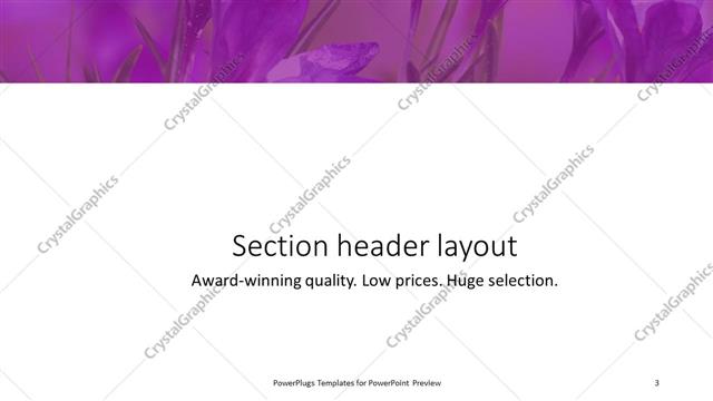 Section Header presentation slide layout