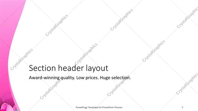 Section Header presentation slide layout