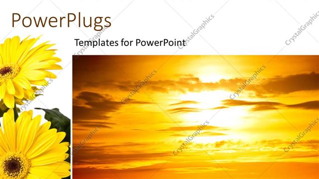  Presentation with sunflower - Beautiful sunset in cloudy sky with sunflower?