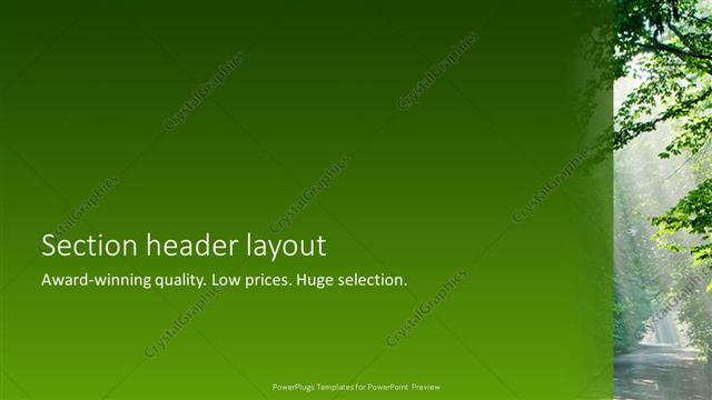 Section Header presentation slide layout