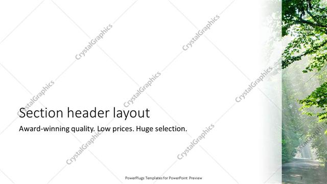 Section Header presentation slide layout