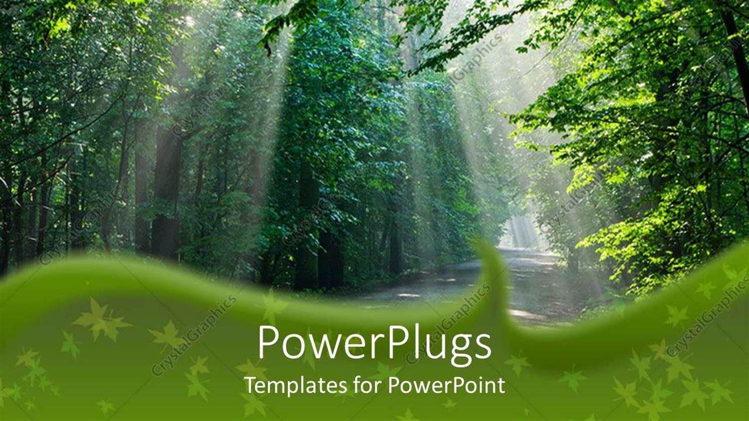 Premium Template for PowerPoint & Google Slides 