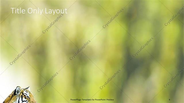 Title Only presentation slide layout