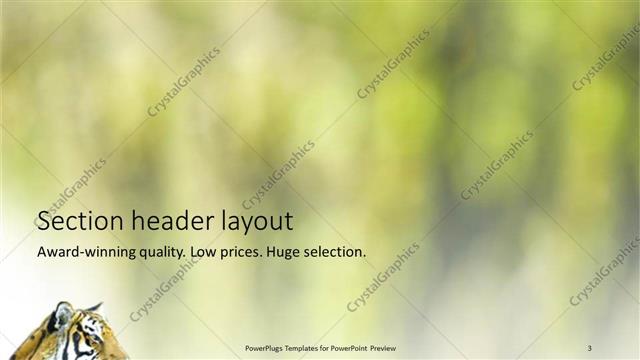 Section Header presentation slide layout