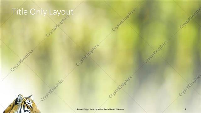 Title Only presentation slide layout