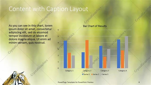Content with Caption presentation slide layout