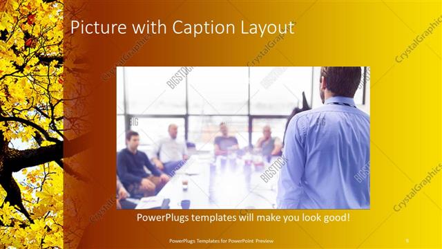 Picture with Caption presentation slide layout