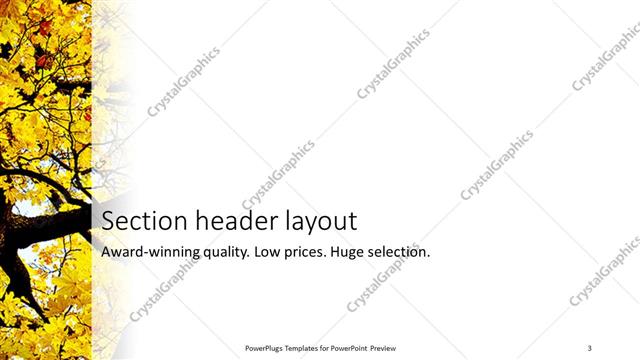Section Header presentation slide layout