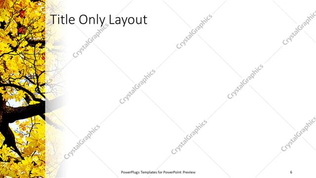 Title Only presentation slide layout