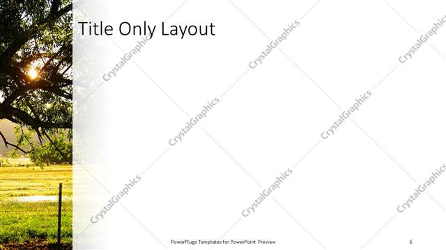 Title Only presentation slide layout