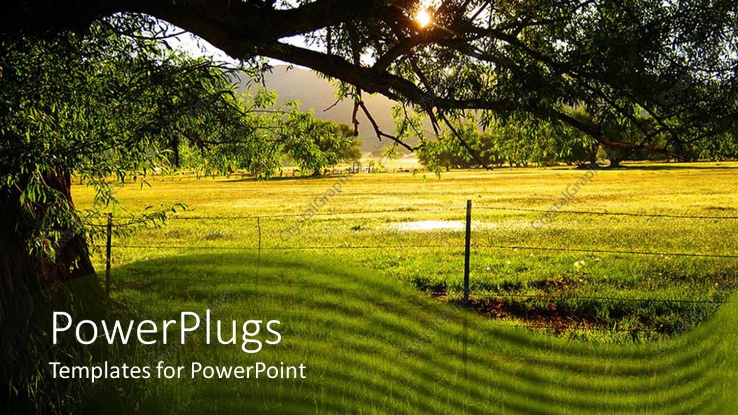 Premium Template for PowerPoint & Google Slides 