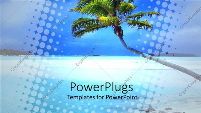  Presentation with palm tree - Beautiful tropical blue beach with a leaning palm tree