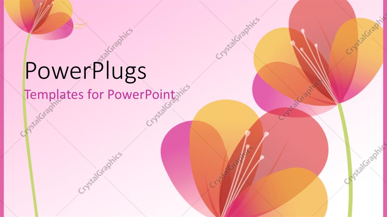 Premium Template for PowerPoint & Google Slides 