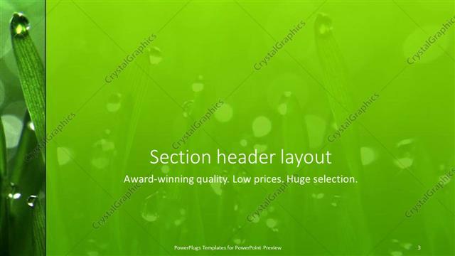 Section Header presentation slide layout