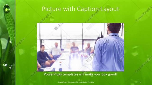 Picture with Caption presentation slide layout