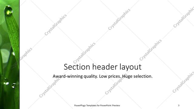 Section Header presentation slide layout