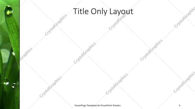 Title Only presentation slide layout
