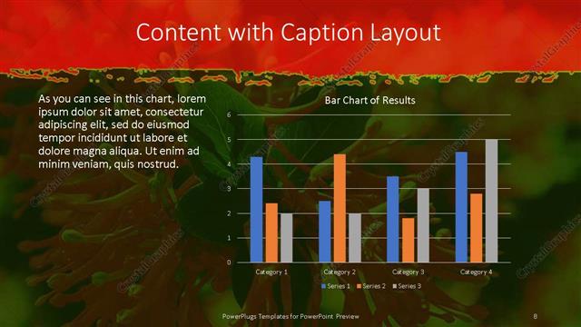 Content with Caption presentation slide layout