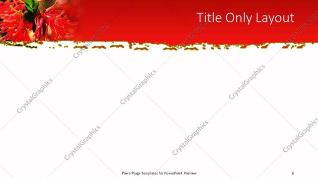 Title Only presentation slide layout