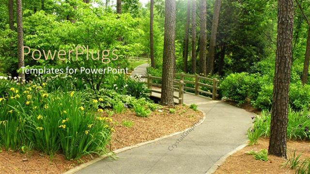  Presentation with forest - Beautiful walkway with bridge in the middle of green forest