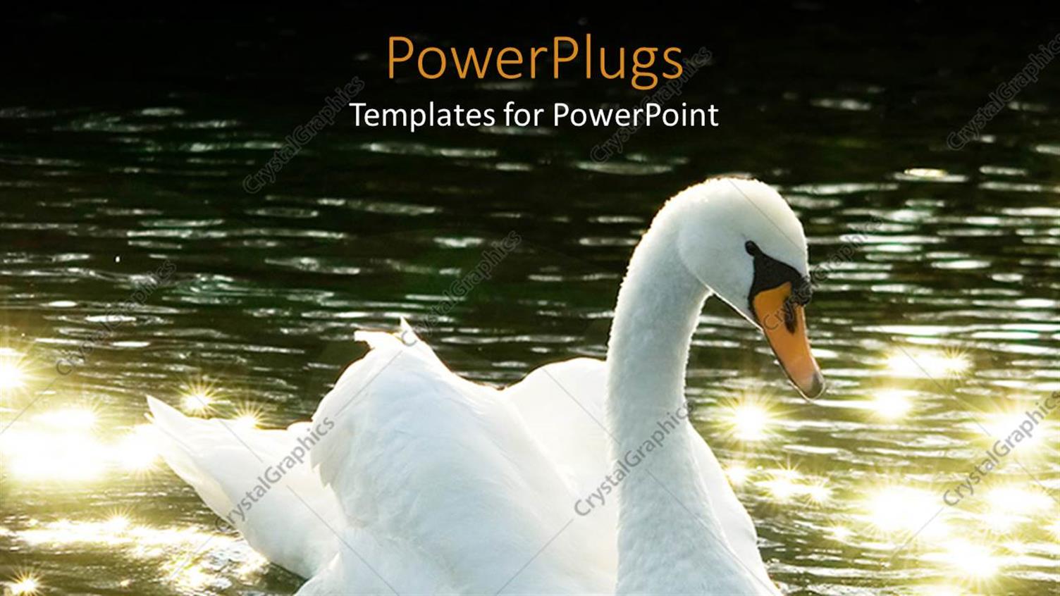 Premium Template for PowerPoint & Google Slides 
