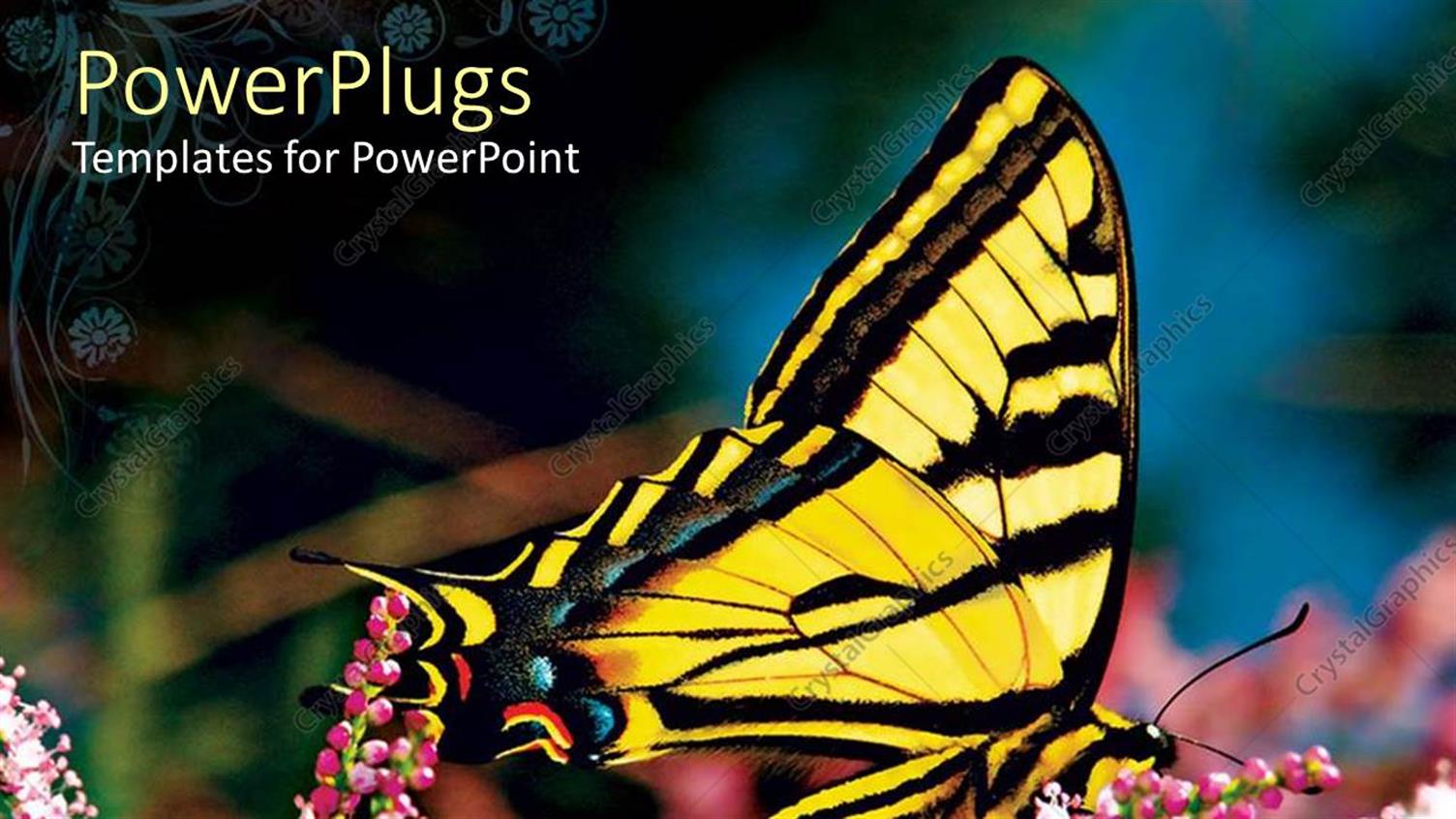 Premium Template for PowerPoint & Google Slides 