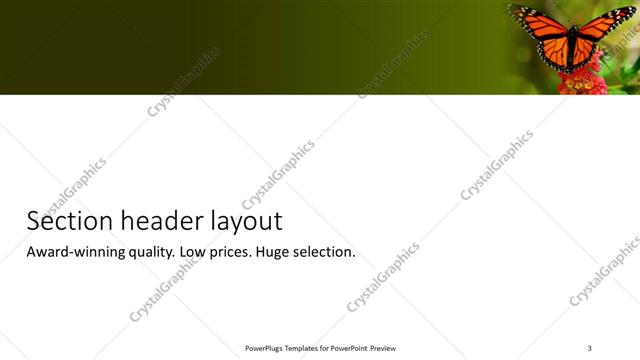 Section Header presentation slide layout