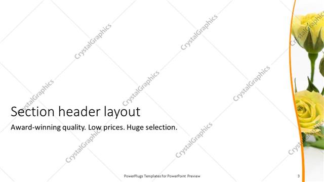 Section Header presentation slide layout