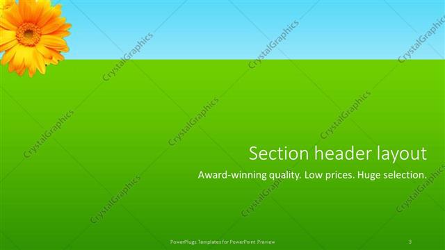Section Header presentation slide layout